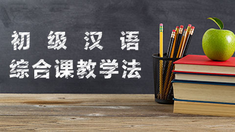 初级汉语综合课教学法 